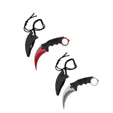 cs2