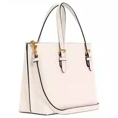 COACH Mollie 25 Tote