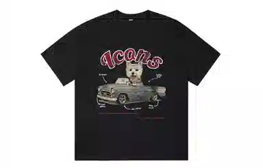 ICONS Lab ICS T