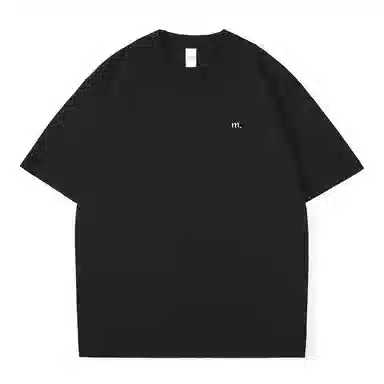 FRALAARRI T