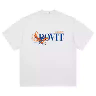 POVIT logoT