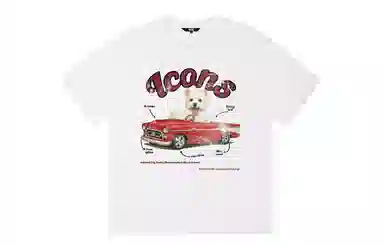 ICONS Lab ICS T