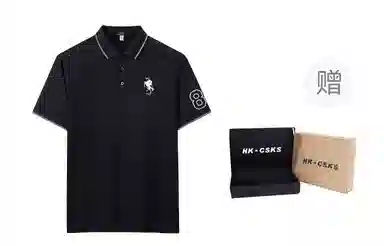 CSKS LogoPoloPolo