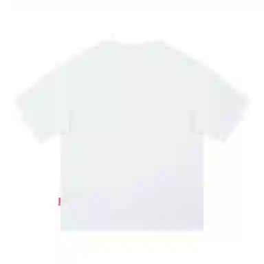 SRPFTE T