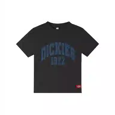 DickiesT