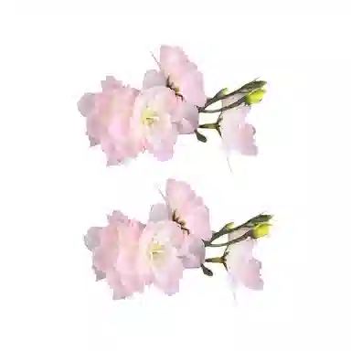 GIRATI