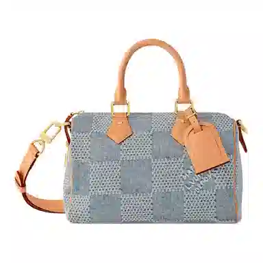 Louis Vuitton Speedy 25 Denim