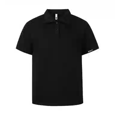 PAINT STAIN Polo