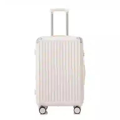 SEA LION ABS+PC 202426