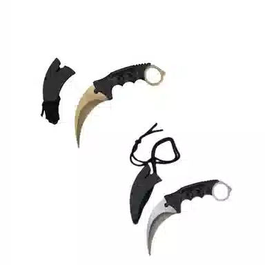 cs2