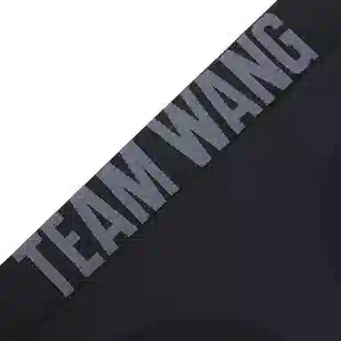 TEAM WANG design
