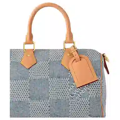 Louis Vuitton Speedy 25 Denim