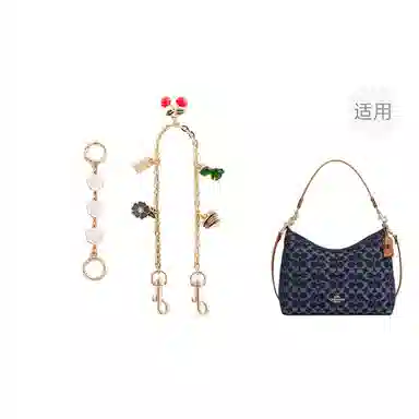 jingxi coach