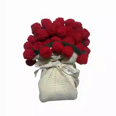 北极绒 时尚潮流温馨创意 披肩 女款