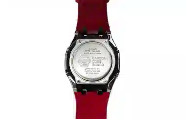 CASIO 200 GA-2100-7A7