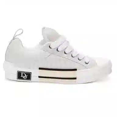 DIOR B23 Oblique