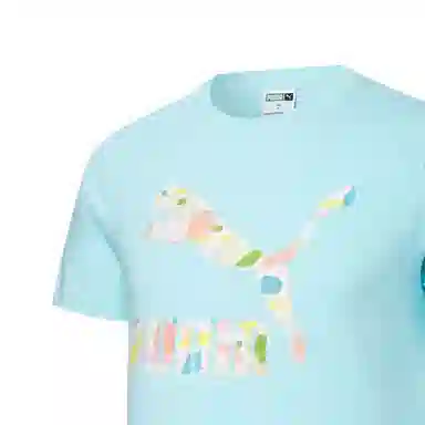 Puma Florid Summer LogoT