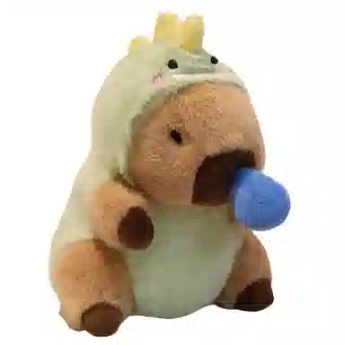 20cm