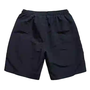 PINSCIO ZENIE
