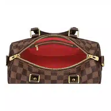 Louis Vuitton Speedy 25