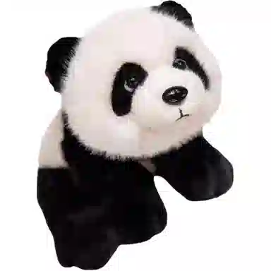 JOY FUER 30cm40cm55cm