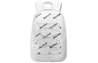 DRACONITE X approval