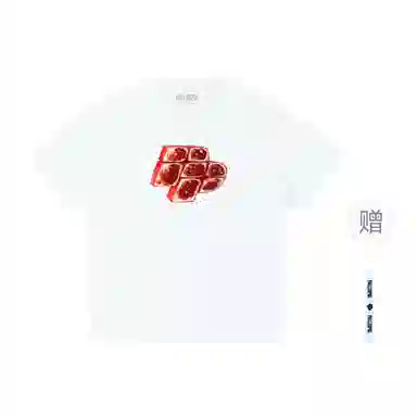 pallsupol T