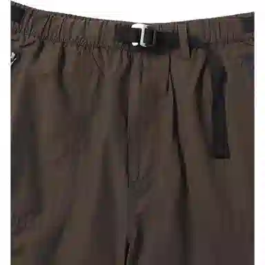 Thisisneverthat Hiking Short Brown