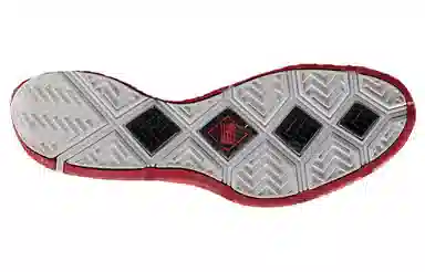 Nike zoom soldier 3 Playoffs 3