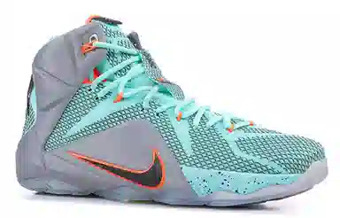 Nike Lebron 12 NSRL