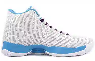 Jordan Air Jordan 29