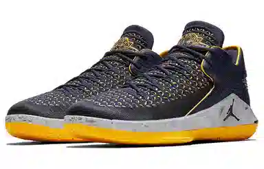 Jordan Air Jordan 32 Low "Michigan"