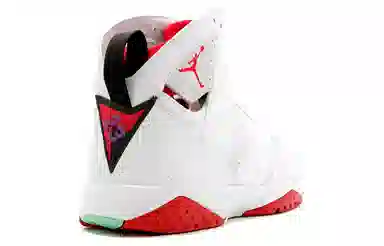 Jordan Air Jordan 7 Retro Hare CDP 2008
