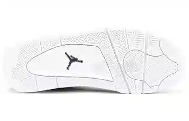 Jordan Air Jordan 4 Retro Silver Anniversary