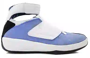 Jordan Air Jordan 20 OG West Coast