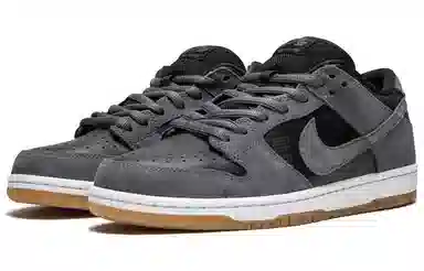 Nike Dunk SB Dark Grey