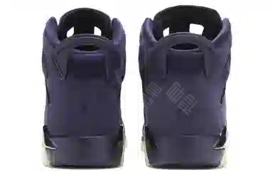 Jordan Air Jordan 6 Retro Purple Dynasty