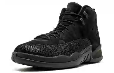 Jordan Air Jordan 12 Retro OVO Black 2017