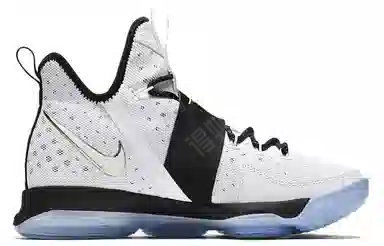 Nike Lebron 14