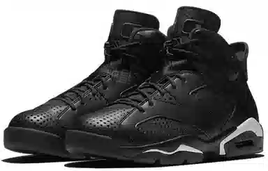 Jordan Air Jordan 6 retro "black cat"
