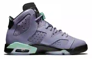 Jordan Air Jordan 6 Retro Iron Purple