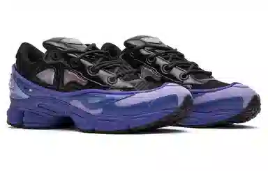 RAF SIMONS x adidas Ozweego Purple