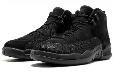 Jordan Air Jordan 12 Retro OVO Black 2017