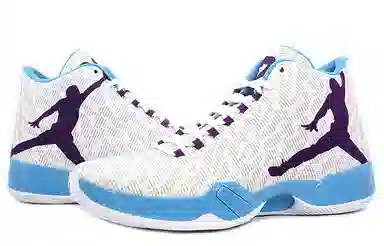 Jordan Air Jordan 29
