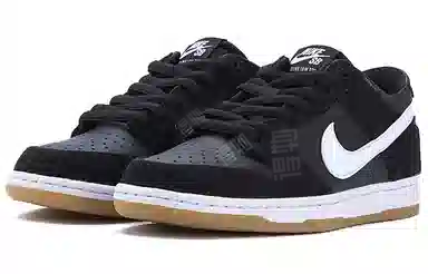 Nike Dunk SB Pro Black White