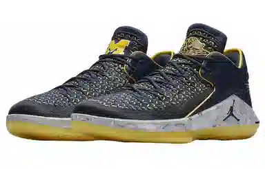 Jordan Air Jordan 32 Low "Michigan"