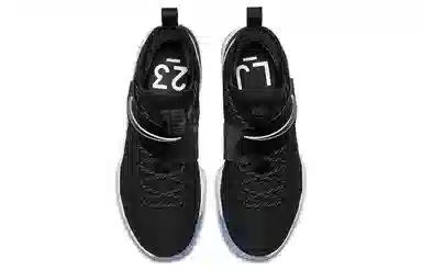 Nike Lebron 14 Black Ice 14