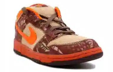 Nike Dunk SB Reese Forbes