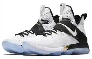 Nike Lebron 14