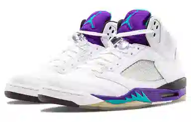 Jordan Air Jordan 5 Retro Grape PU